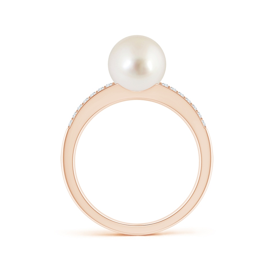 8mm AAAA South Sea Pearl Double Shank Ring in Rose Gold side 1