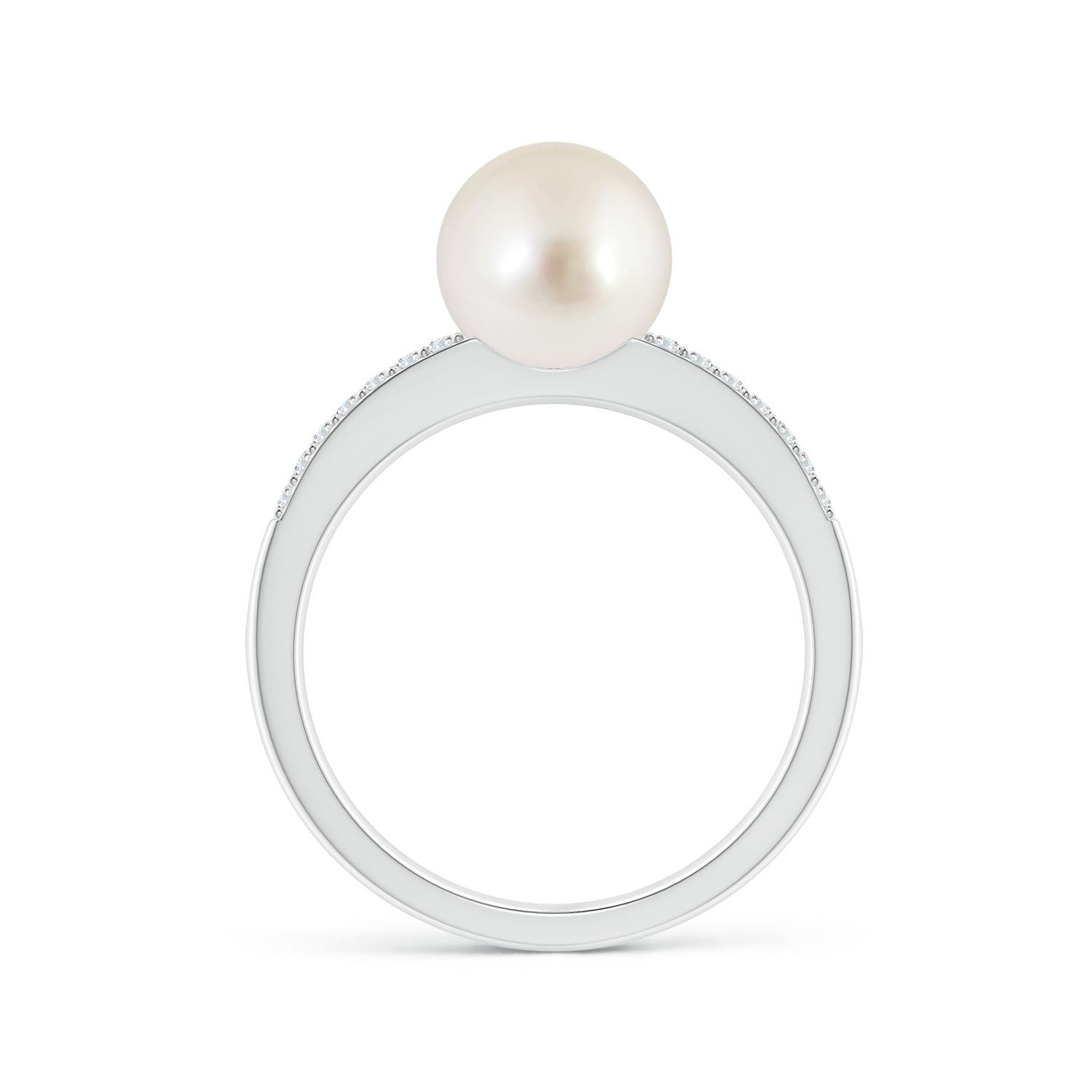 8mm AAAA South Sea Pearl Double Shank Ring in White Gold