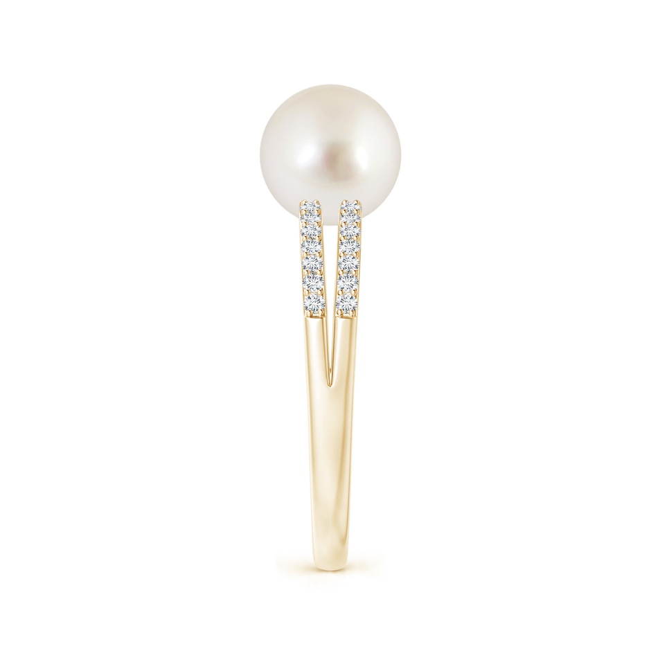 8mm AAAA South Sea Pearl Double Shank Ring in Yellow Gold side 2