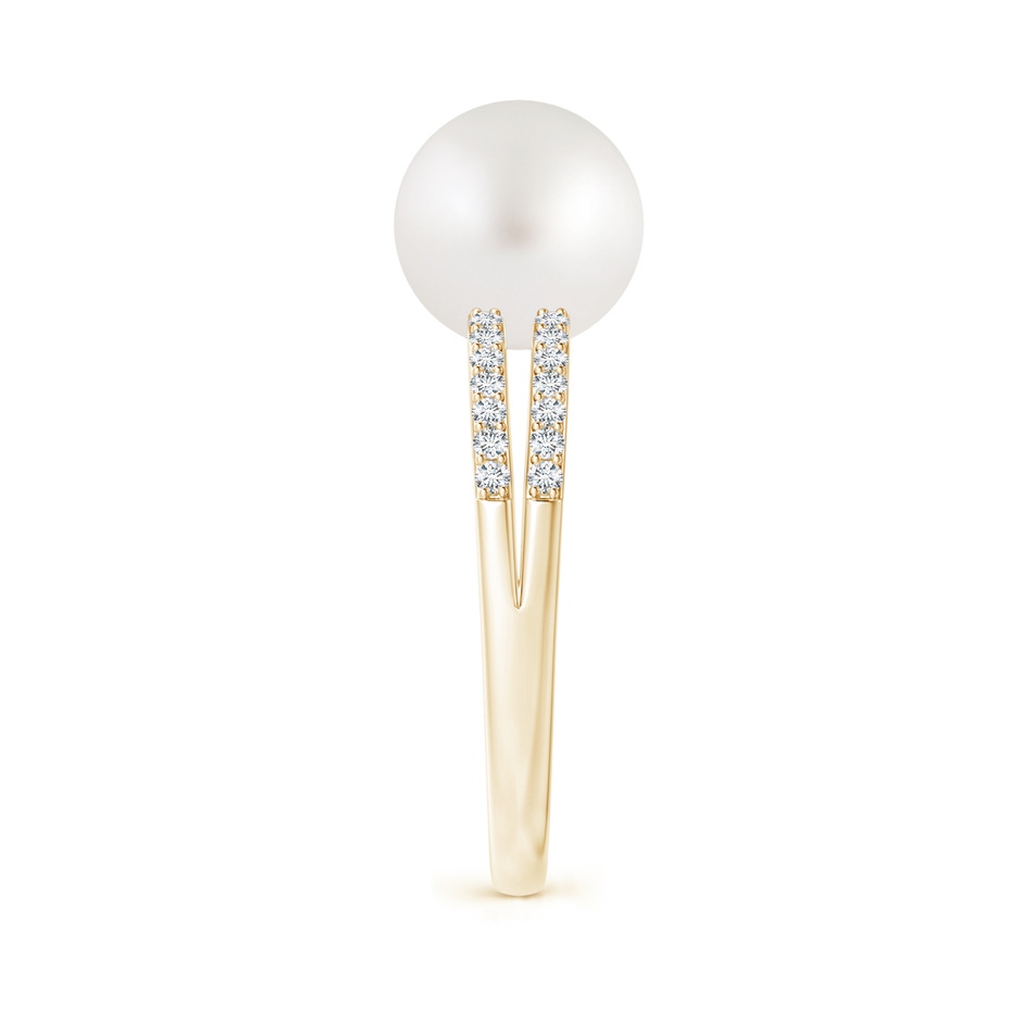 9mm AA South Sea Pearl Double Shank Ring in Yellow Gold side 2