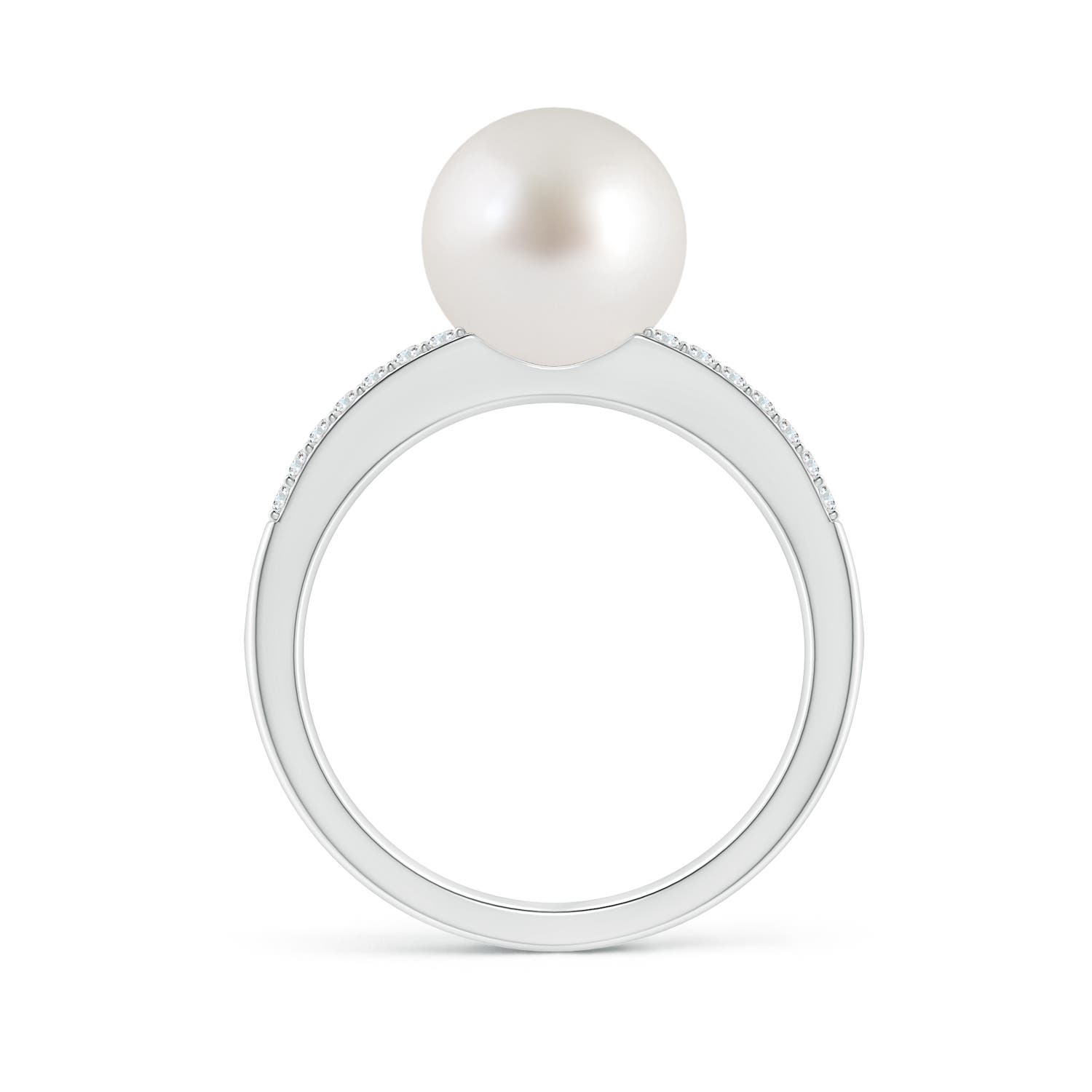 9mm AAA South Sea Pearl Double Shank Ring in White Gold