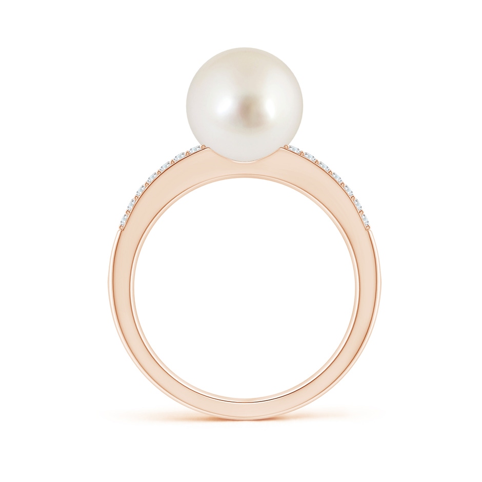 9mm AAAA South Sea Pearl Double Shank Ring in Rose Gold side 1