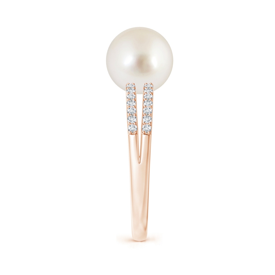 9mm AAAA South Sea Pearl Double Shank Ring in Rose Gold side 2