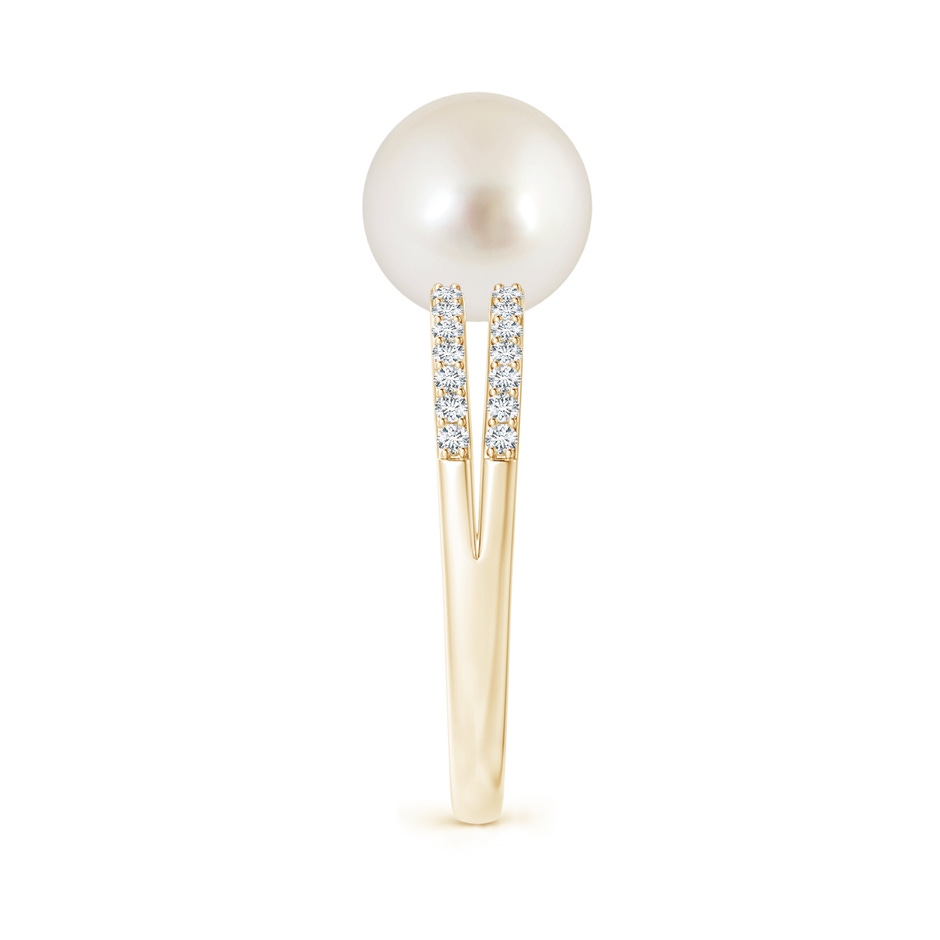 9mm AAAA South Sea Pearl Double Shank Ring in Yellow Gold side 2