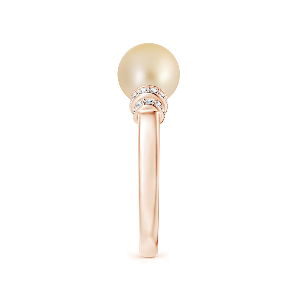 8mm AA Golden South Sea Pearl & Pavé-Set Diamond Ring in Rose Gold side 2