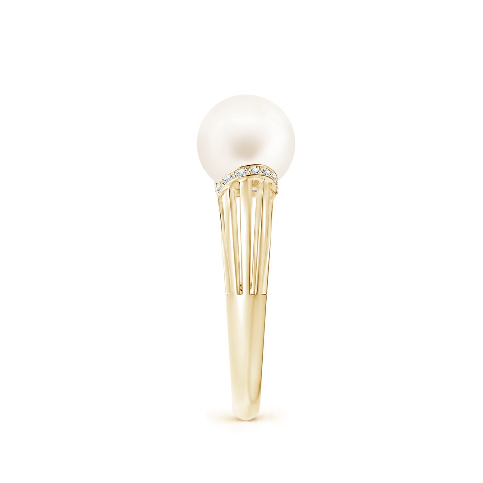 8mm AA Freshwater Pearl Ring with Pavé-Set Diamonds in Yellow Gold side 2