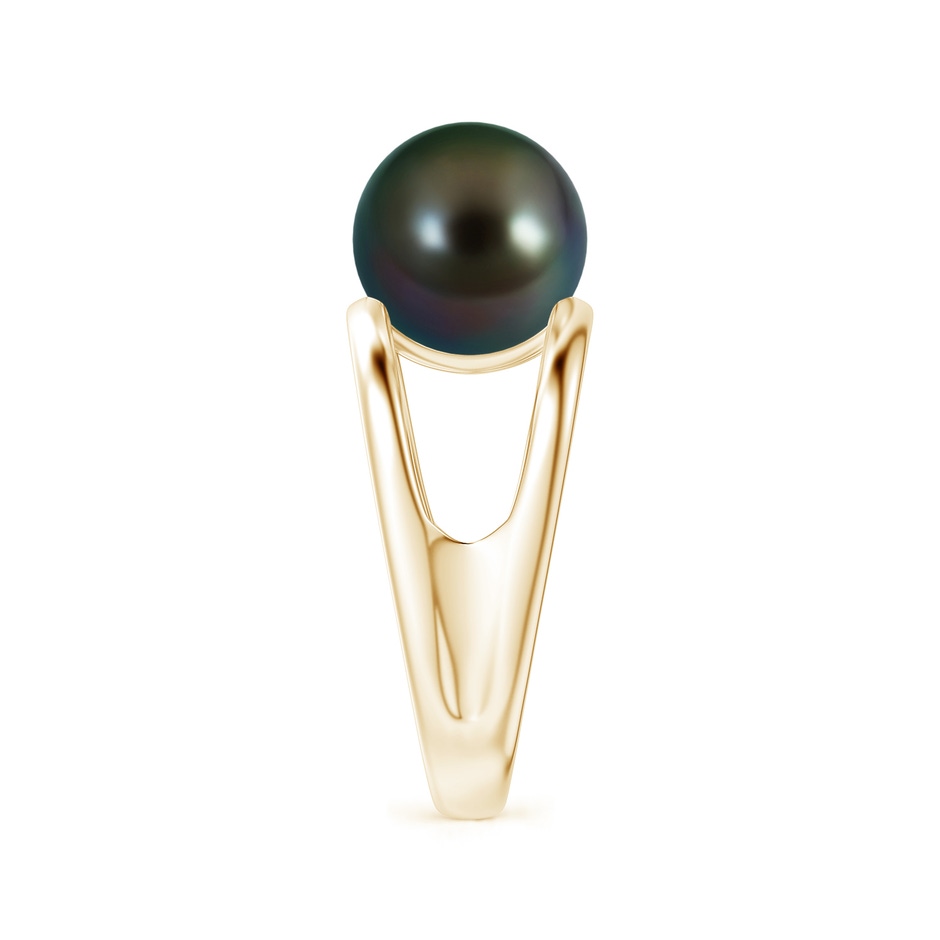10mm AAAA Solitaire Tahitian Pearl Double Shank Ring in Yellow Gold side 2