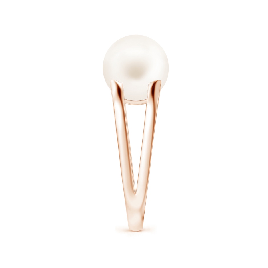 10mm AA Solitaire Freshwater Pearl Split Shank Ring in Rose Gold side 2