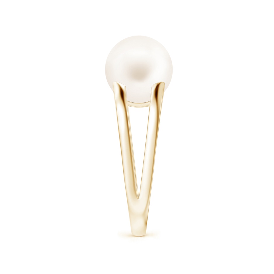 10mm AA Solitaire Freshwater Pearl Split Shank Ring in Yellow Gold side 2
