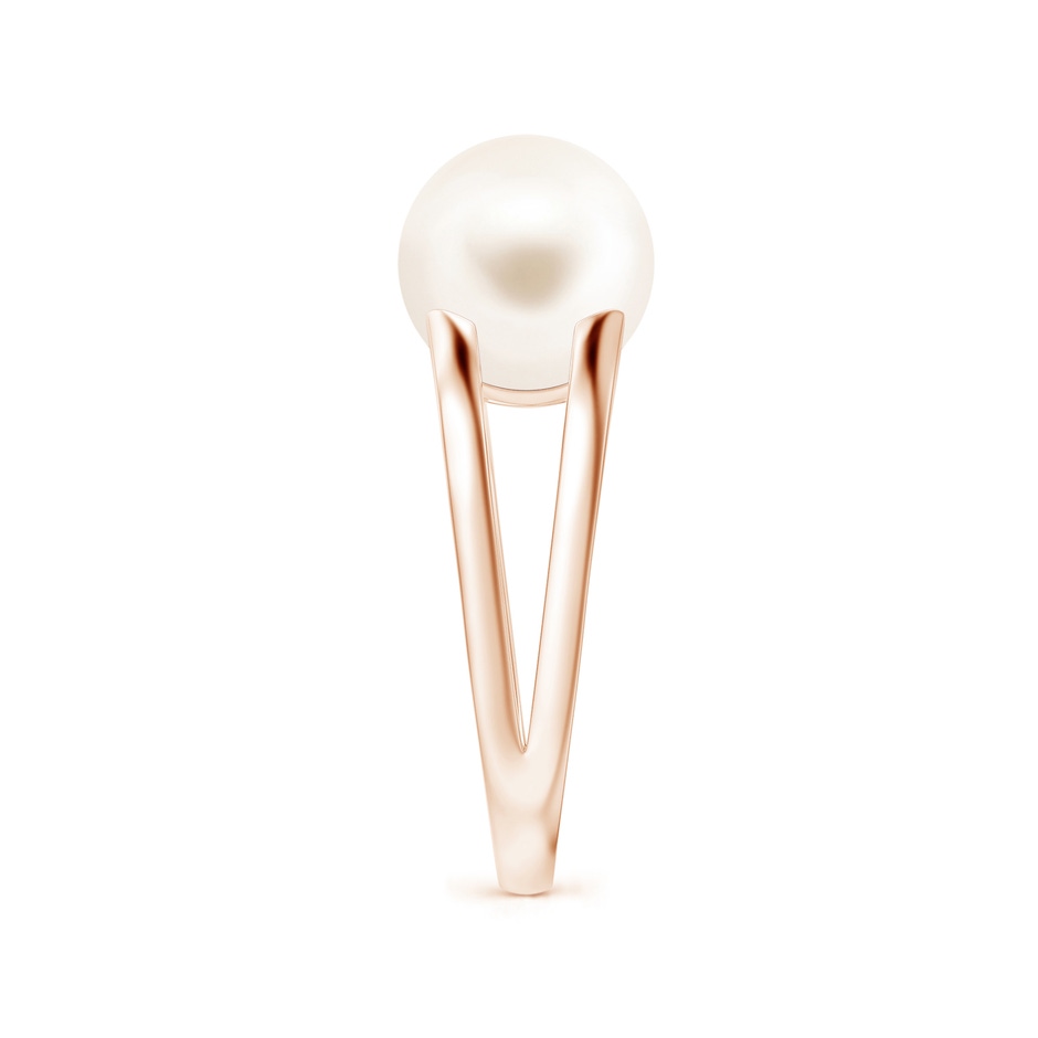 10mm AAA Solitaire Freshwater Pearl Split Shank Ring in Rose Gold side 2