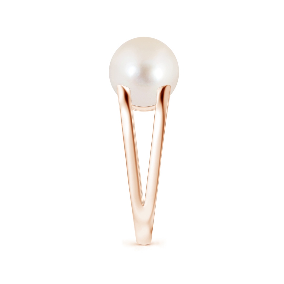 10mm AAAA Solitaire Freshwater Pearl Split Shank Ring in Rose Gold side 2