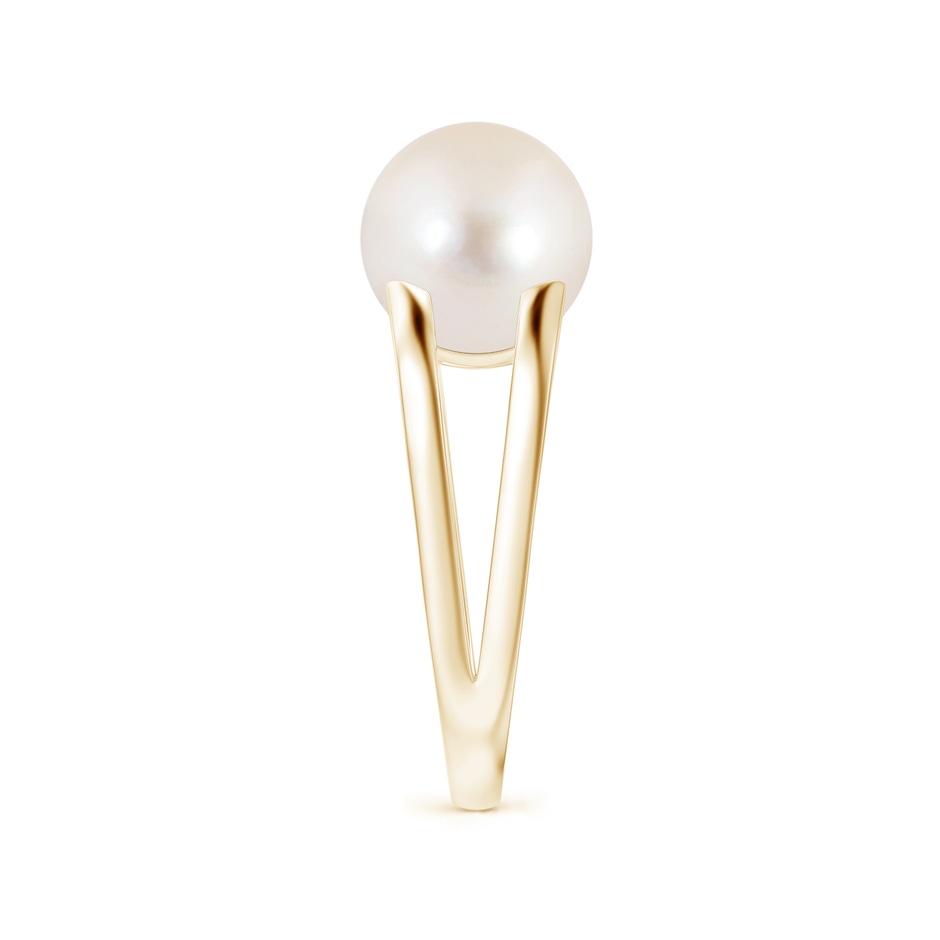 10mm AAAA Solitaire Freshwater Pearl Split Shank Ring in Yellow Gold side 2