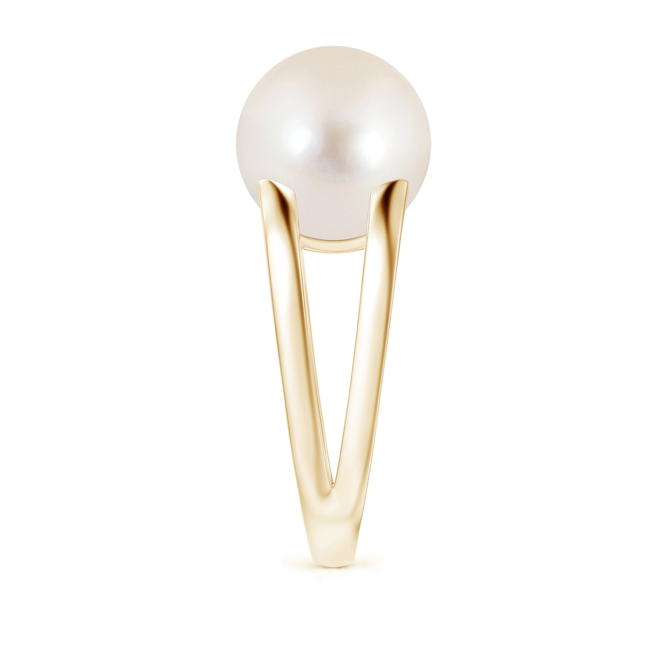 12mm AAAA Solitaire Freshwater Pearl Split Shank Ring in Yellow Gold side 2