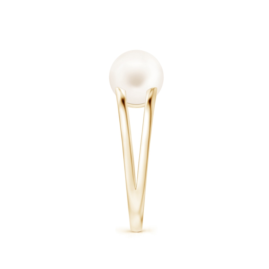 8mm AA Solitaire Freshwater Pearl Split Shank Ring in Yellow Gold side 2