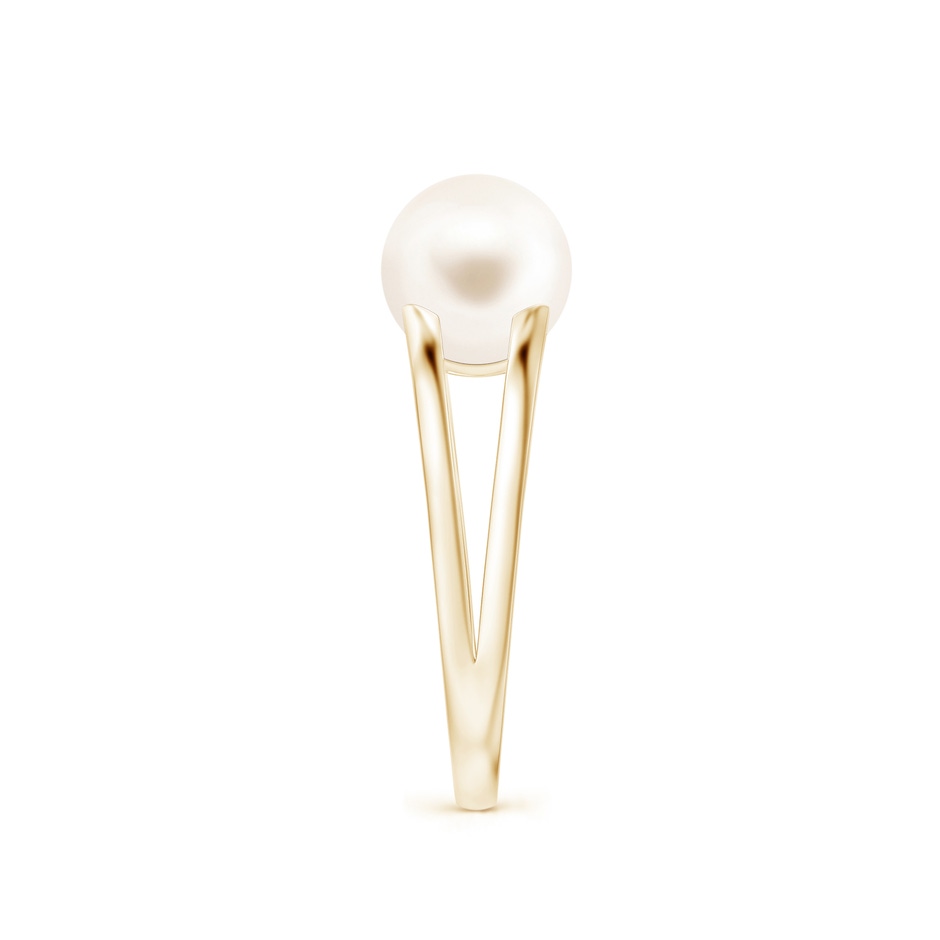 8mm AAA Solitaire Freshwater Pearl Split Shank Ring in Yellow Gold side 2