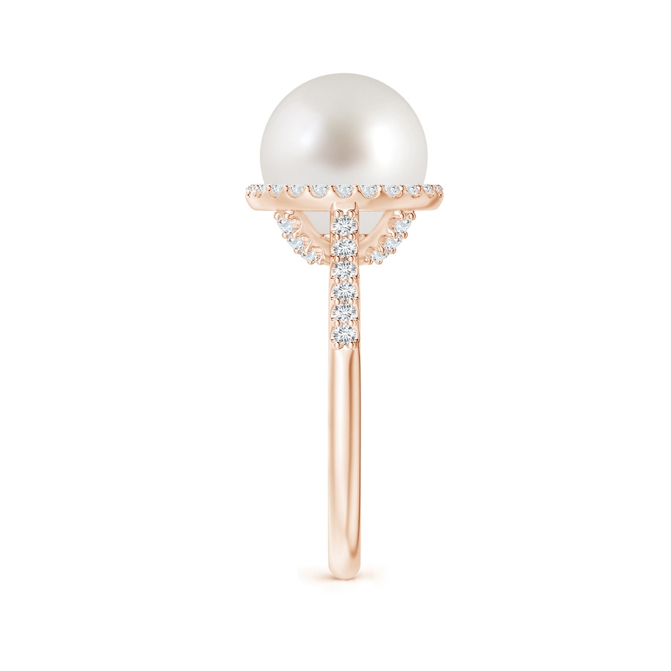 10mm AAA South Sea Pearl Diamond Halo Ring in Rose Gold side 2