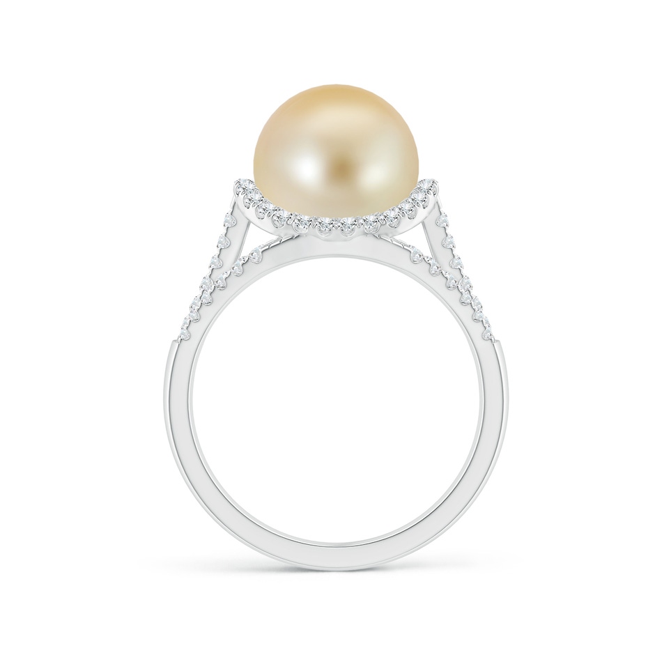 10mm AAA Golden South Sea Pearl Triple Shank Ring in White Gold side 1