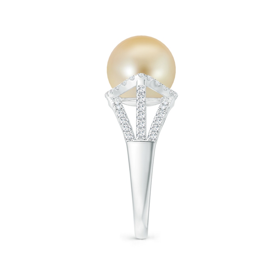 10mm AAA Golden South Sea Pearl Triple Shank Ring in White Gold side 2