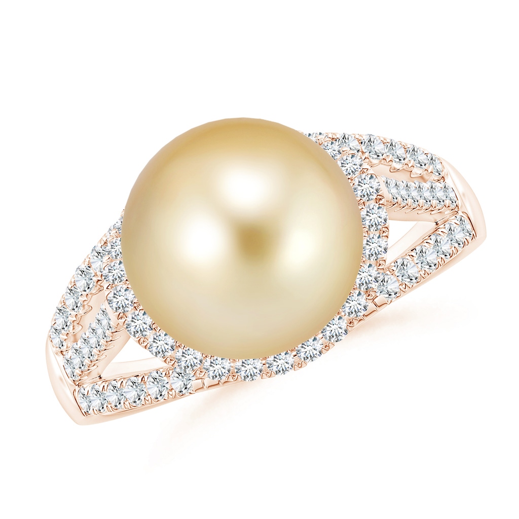 10mm AAAA Golden South Sea Pearl Triple Shank Ring in Rose Gold