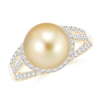 10mm AAAA Golden South Sea Pearl Triple Shank Ring in Yellow Gold