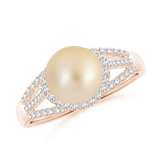 8mm AA Golden South Sea Pearl Triple Shank Ring in Rose Gold