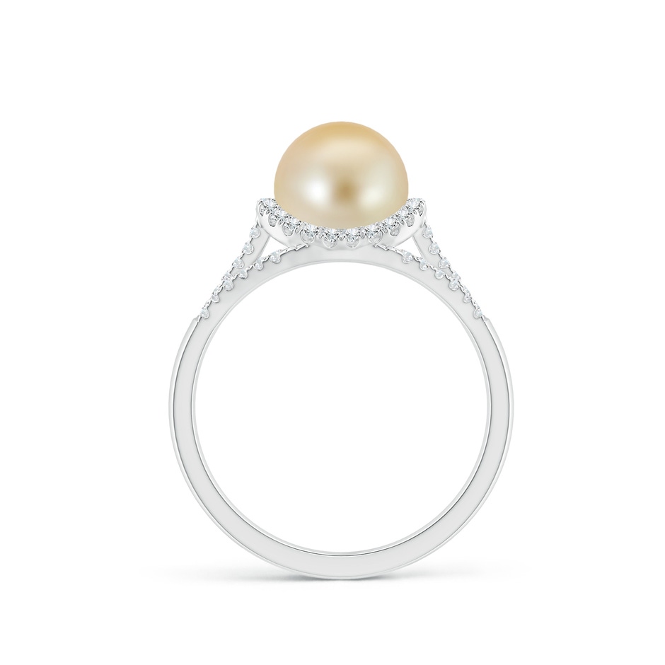 8mm AAA Golden South Sea Pearl Triple Shank Ring in White Gold side 1