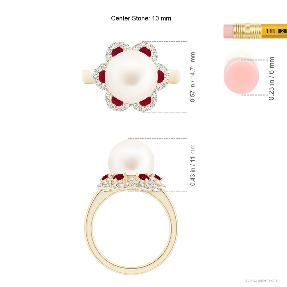10mm AA Freshwater Pearl Floral Ring with Rubies in Yellow Gold ruler