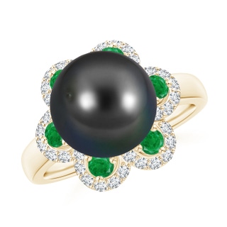 Round AA Tahitian Cultured Pearl
