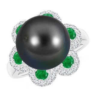 Round AA Tahitian Cultured Pearl