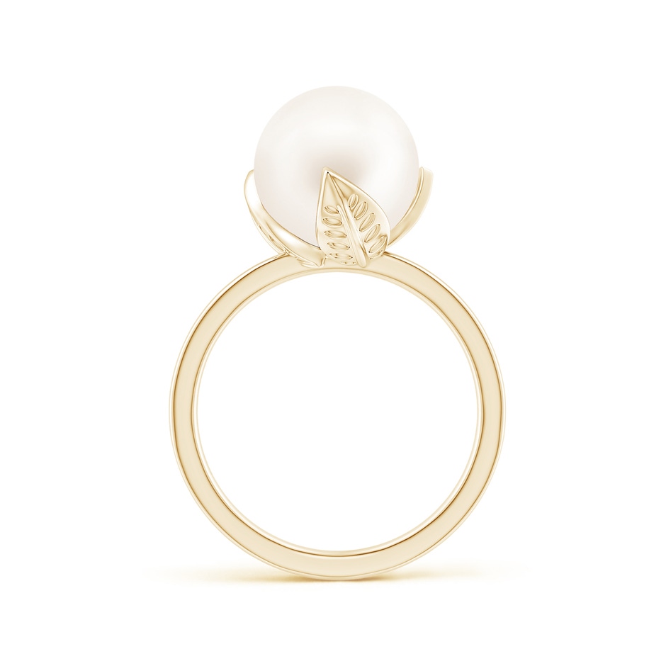 10mm AA Trillium Freshwater Pearl Solitaire Ring in Yellow Gold side 1