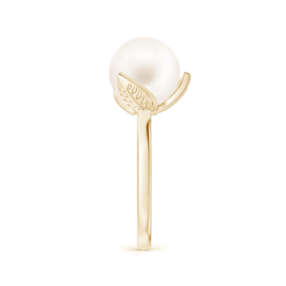 10mm AA Trillium Freshwater Pearl Solitaire Ring in Yellow Gold side 2