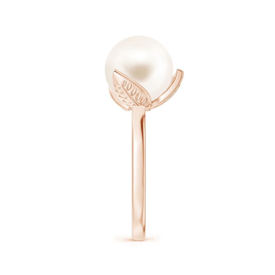 10mm AAA Trillium Freshwater Pearl Solitaire Ring in Rose Gold side 2