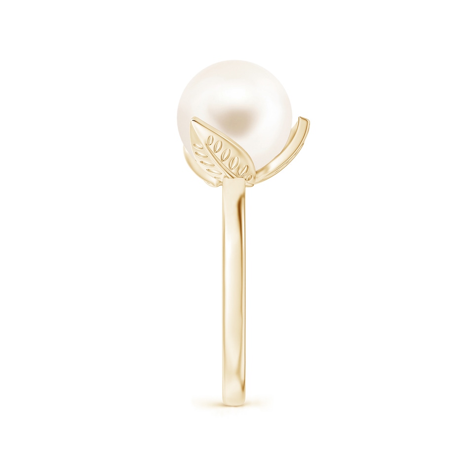 10mm AAA Trillium Freshwater Pearl Solitaire Ring in Yellow Gold side 2