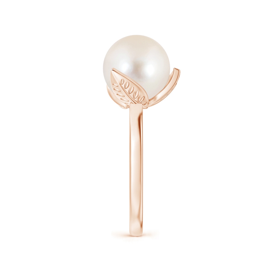 10mm AAAA Trillium Freshwater Pearl Solitaire Ring in Rose Gold side 2