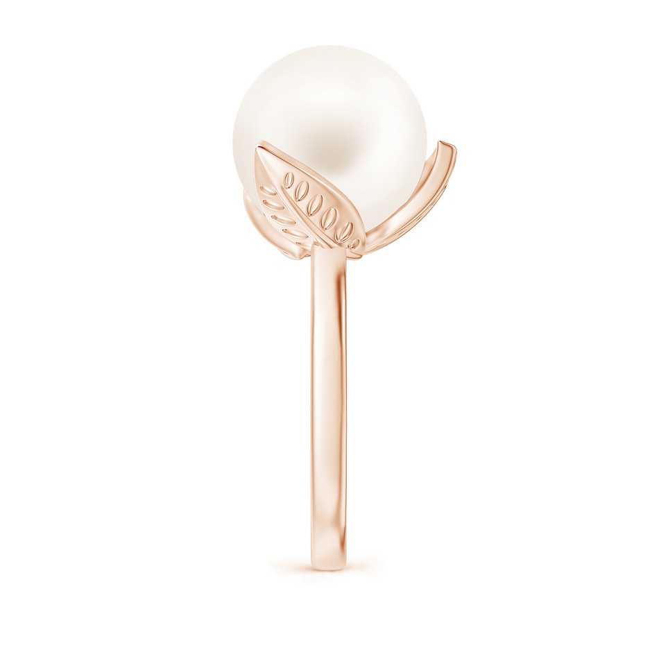 12mm AA Trillium Freshwater Pearl Solitaire Ring in Rose Gold side 2