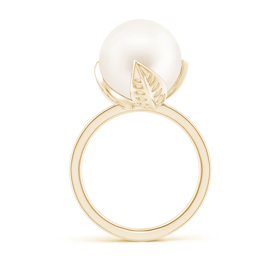 12mm AA Trillium Freshwater Pearl Solitaire Ring in Yellow Gold side 1