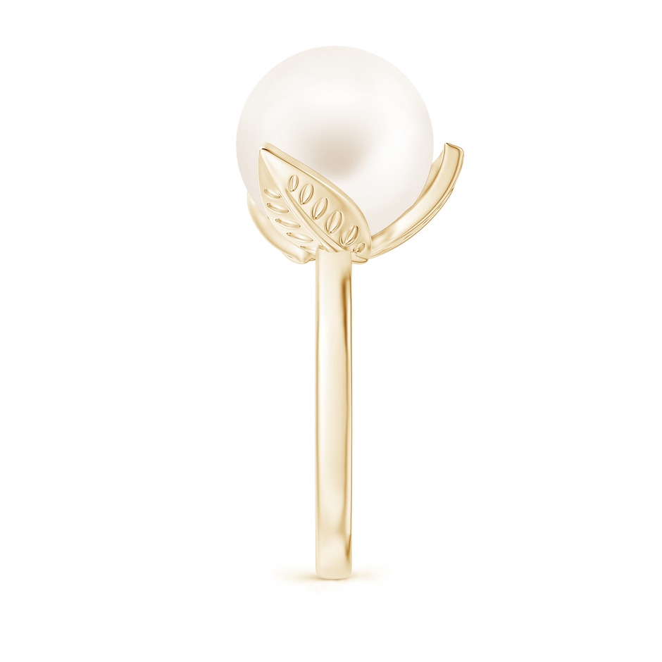12mm AA Trillium Freshwater Pearl Solitaire Ring in Yellow Gold side 2