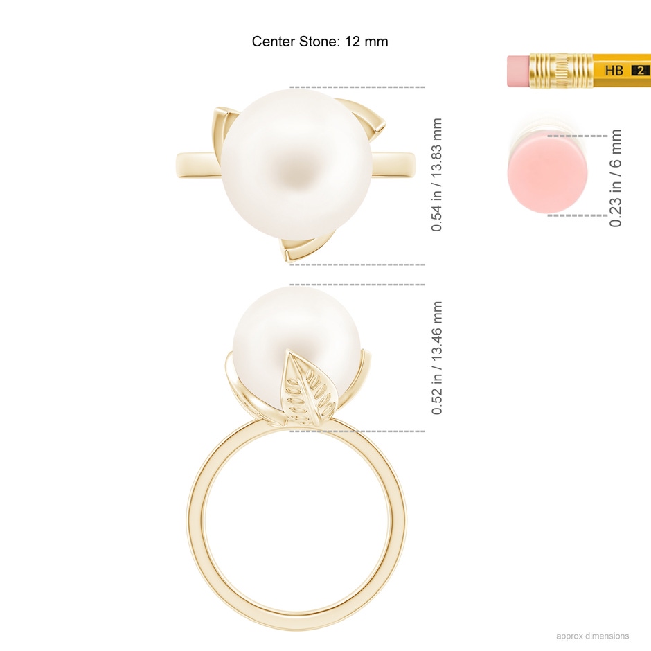 12mm AA Trillium Freshwater Pearl Solitaire Ring in Yellow Gold ruler