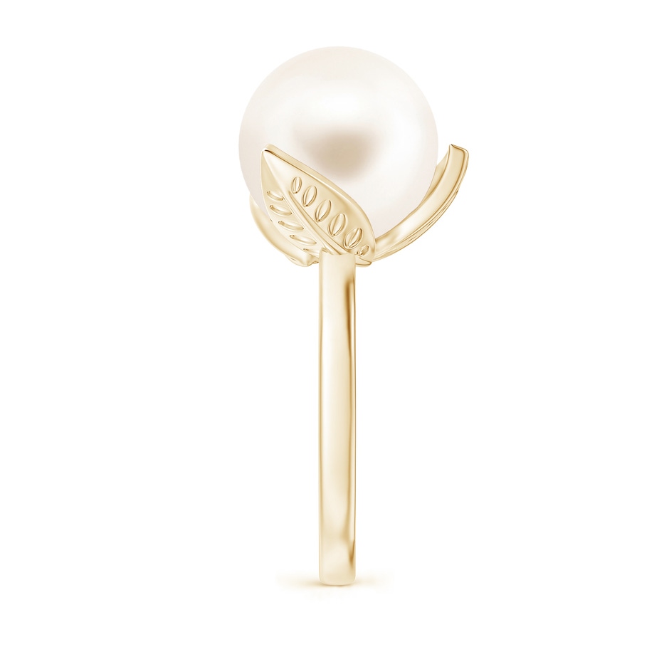 12mm AAA Trillium Freshwater Pearl Solitaire Ring in Yellow Gold side 2
