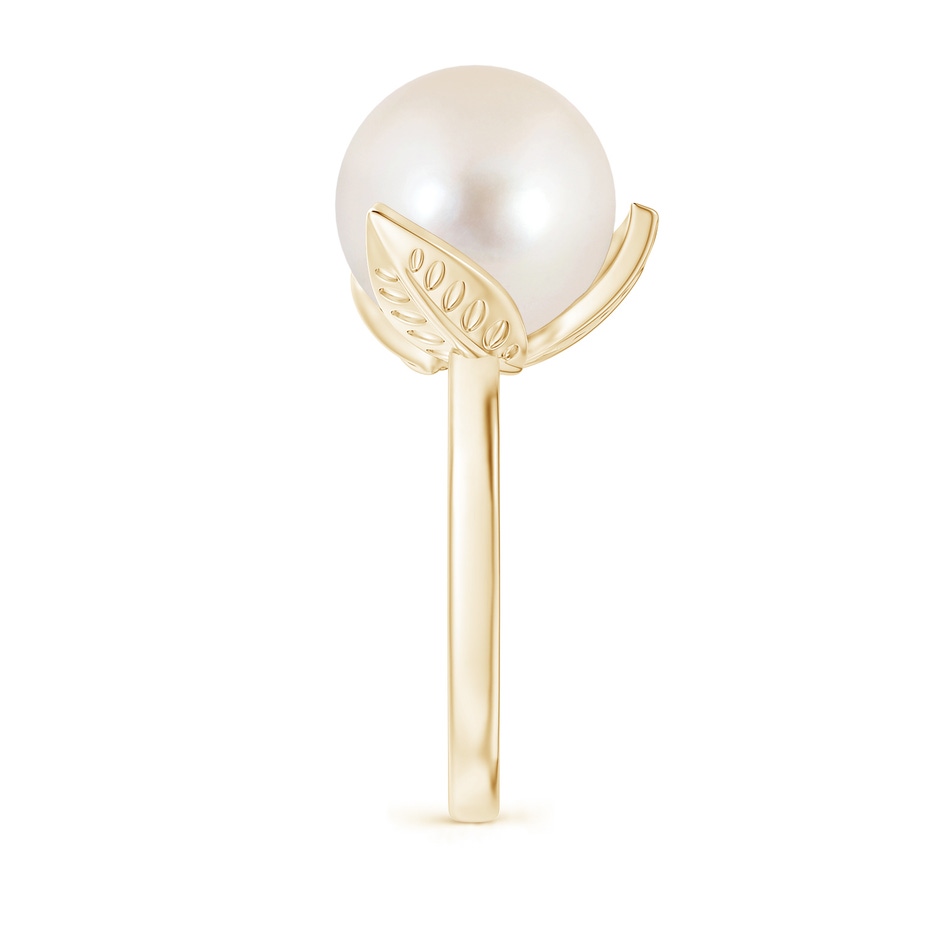 12mm AAAA Trillium Freshwater Pearl Solitaire Ring in Yellow Gold side 2