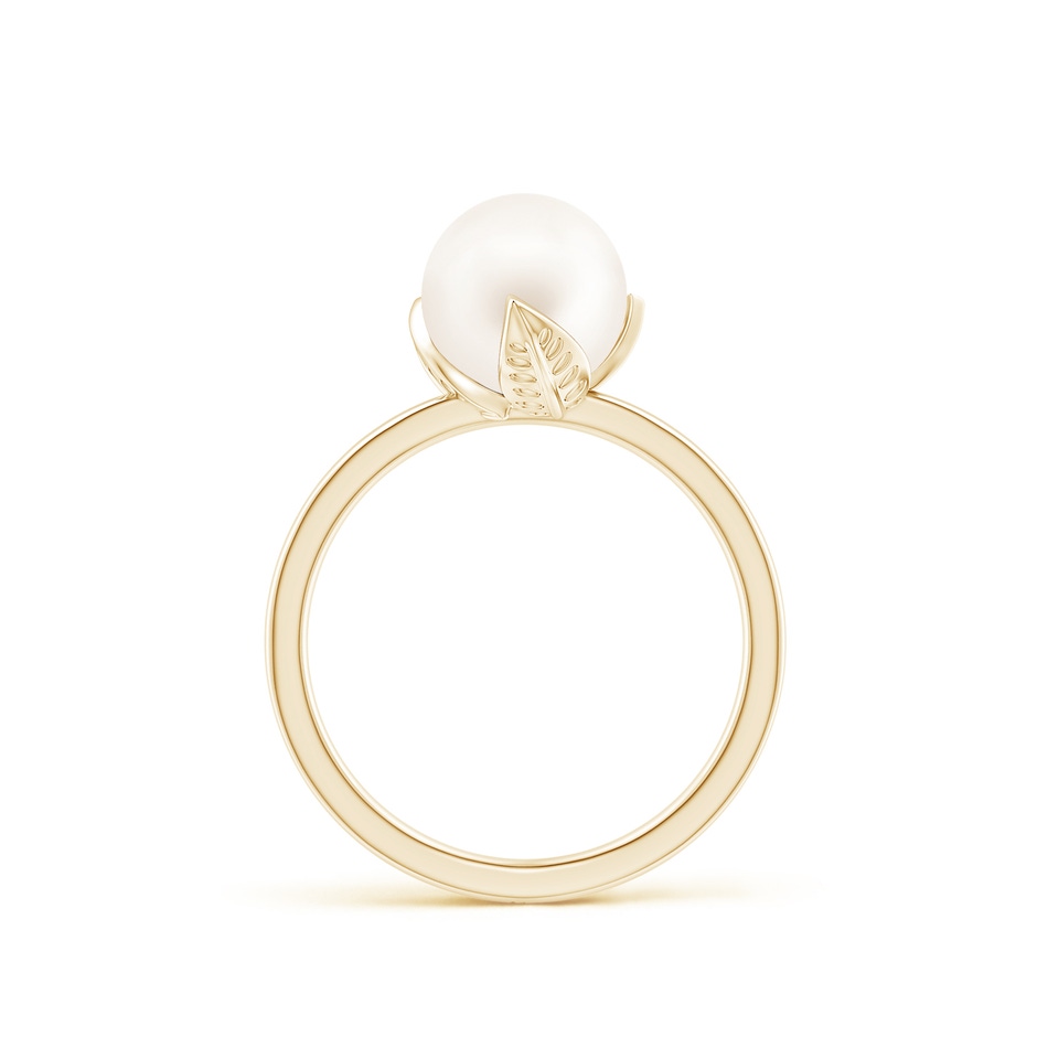 8mm AA Trillium Freshwater Pearl Solitaire Ring in Yellow Gold side 1