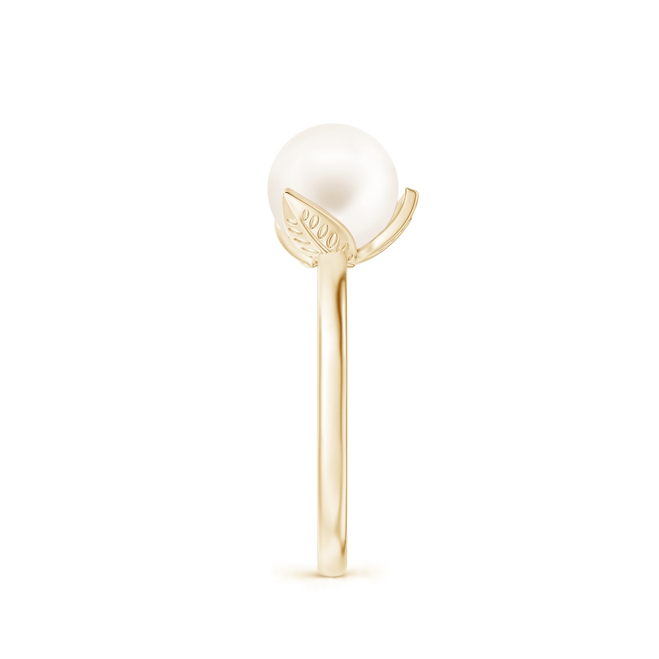 8mm AA Trillium Freshwater Pearl Solitaire Ring in Yellow Gold side 2