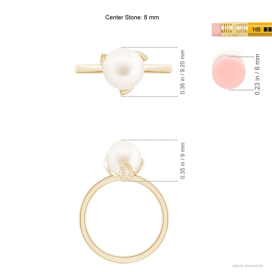 8mm AA Trillium Freshwater Pearl Solitaire Ring in Yellow Gold ruler