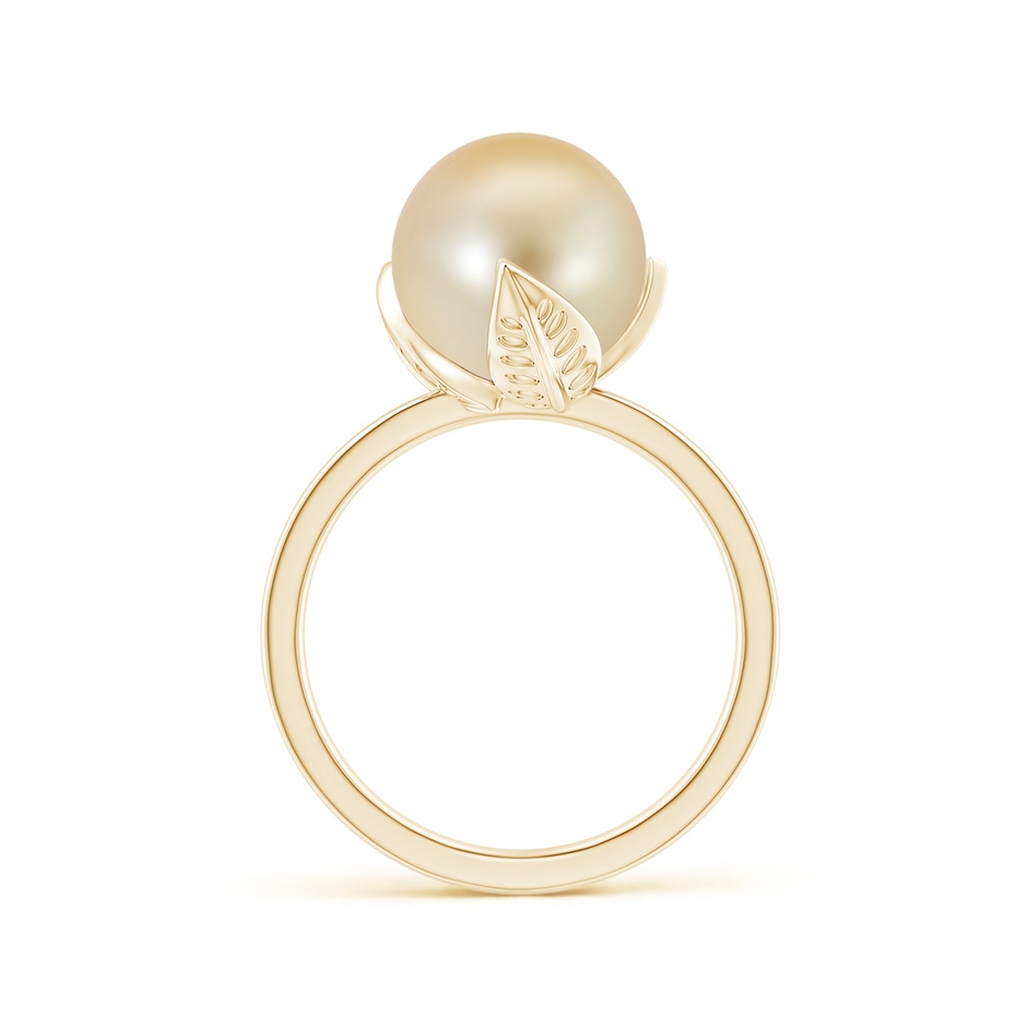 10mm AAA Trillium Golden South Sea Pearl Solitaire Ring in Yellow Gold side 1