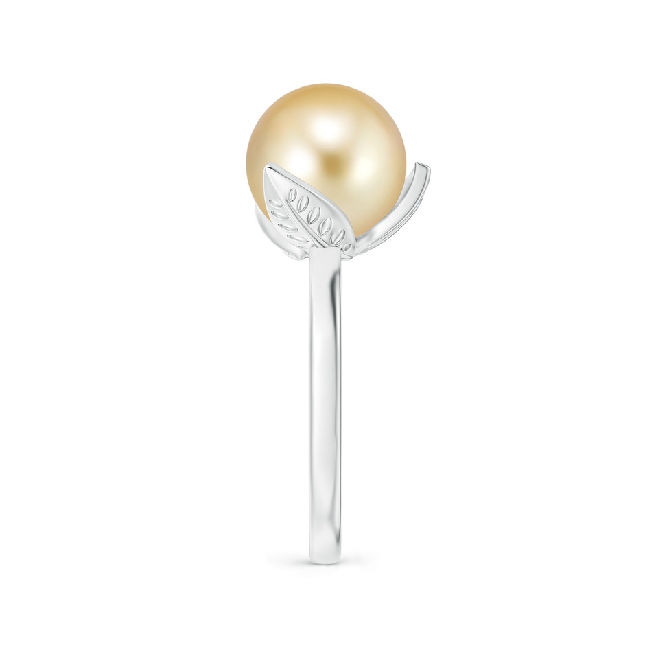 10mm AAAA Trillium Golden South Sea Pearl Solitaire Ring in P950 Platinum side 2