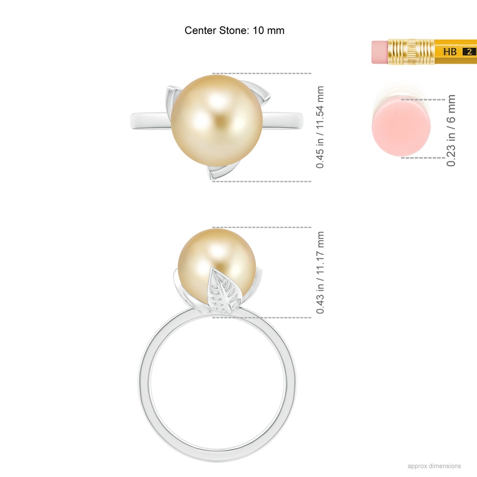 10mm AAAA Trillium Golden South Sea Pearl Solitaire Ring in P950 Platinum ruler