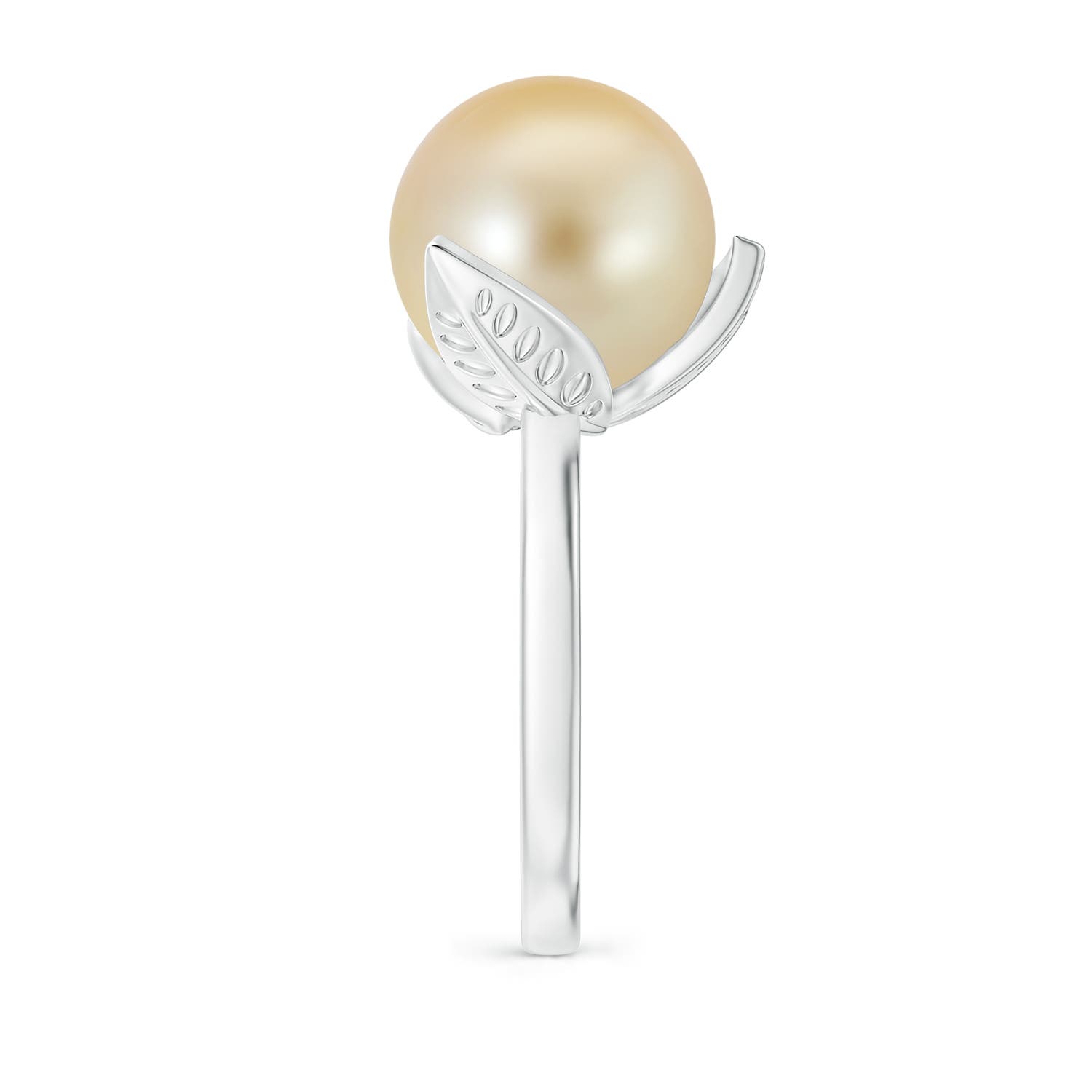 12mm AAA Trillium Golden South Sea Pearl Solitaire Ring in White Gold - side 2