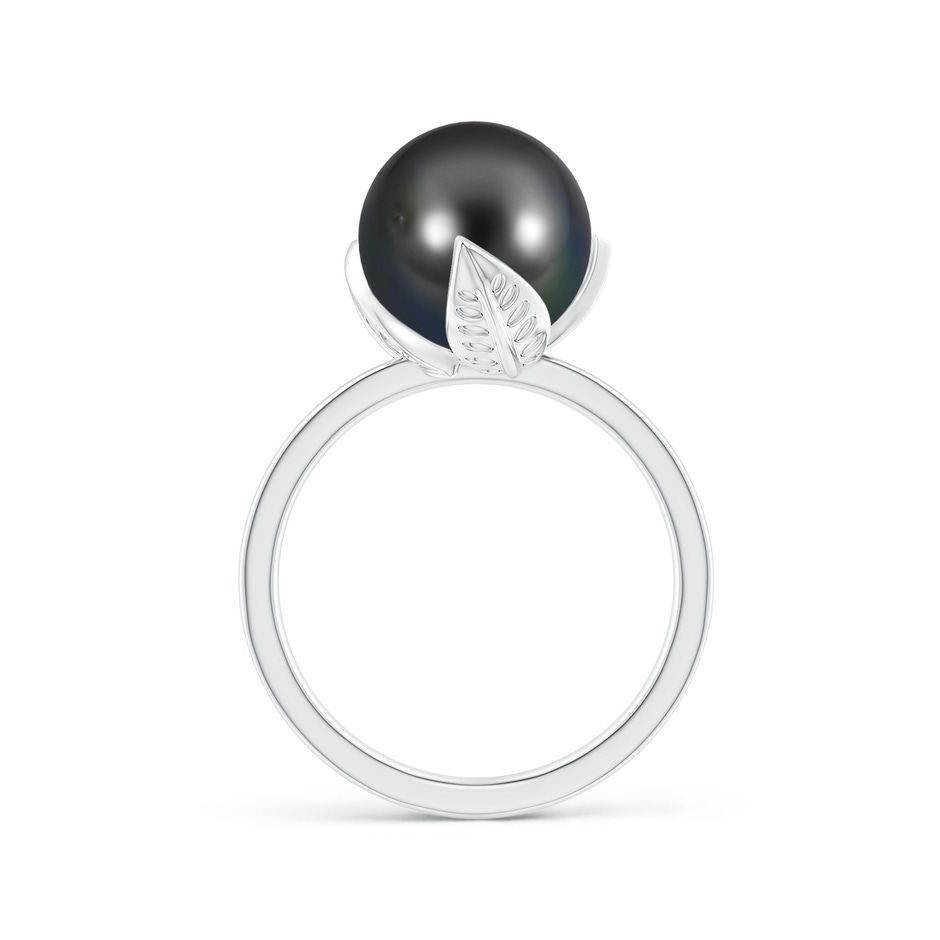 10mm AA Trillium Tahitian Pearl Solitaire Ring in White Gold side 1