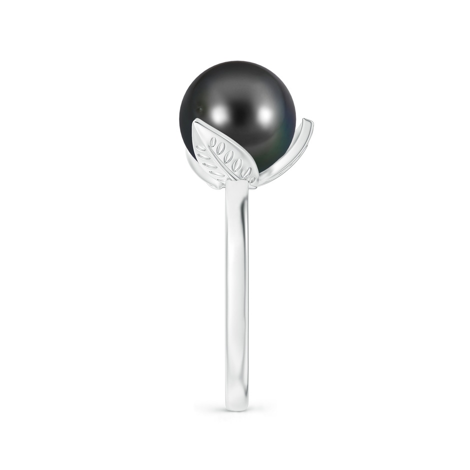 10mm AA Trillium Tahitian Pearl Solitaire Ring in White Gold side 2