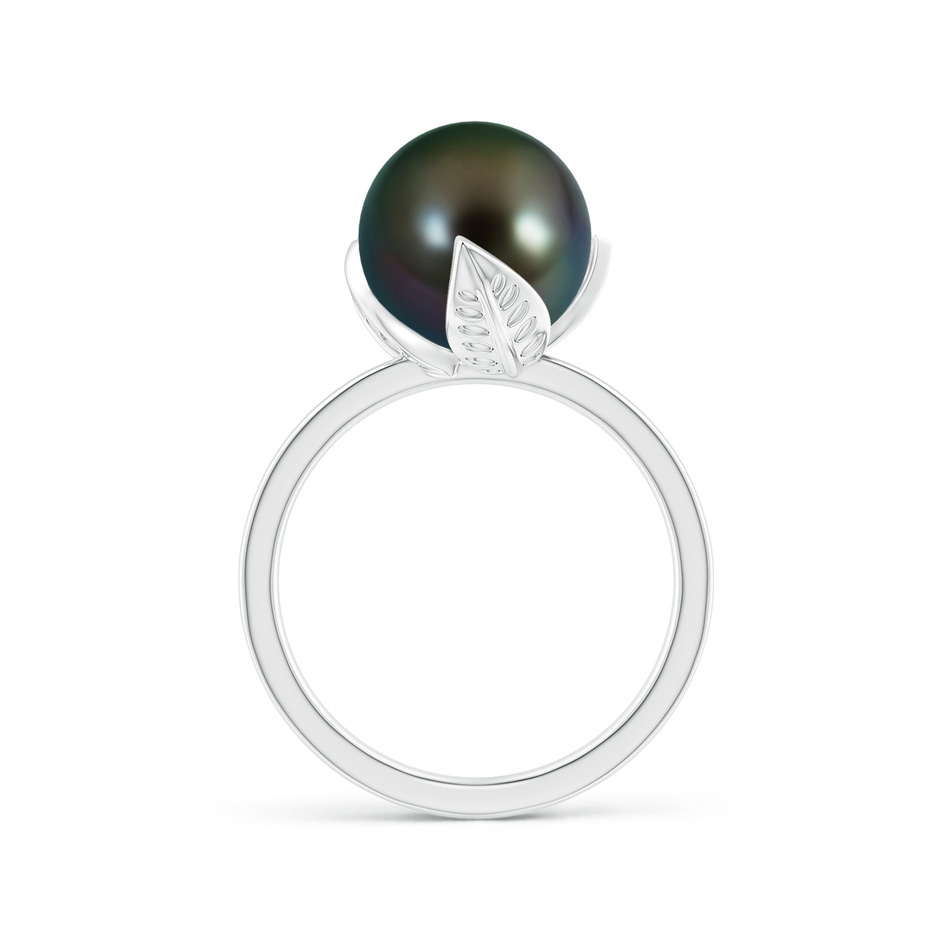 10mm AAAA Trillium Tahitian Pearl Solitaire Ring in White Gold side 1